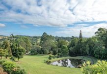 Two homes on 4 acres and views