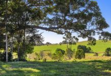 It feels like summer