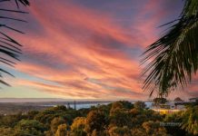 Everyone’s a winner