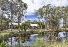 Eastern beaches come up trumps