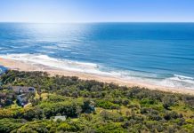 Surf’s Up: Noosa’s On A Property Wave