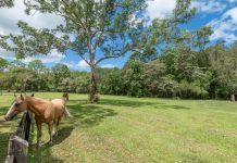 Blue Chip Location, Interesting Acreage