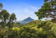 Nature lovers’ paradise with so much potential