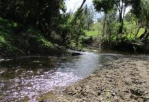 Outstanding lifestyle – ‘Ullathorne’