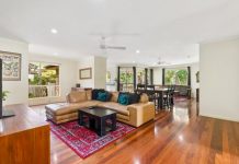 Relaxing forest backdrop