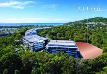 Tallow builds on Settler’s Cove success