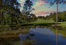 Perfect five acres and renovated home