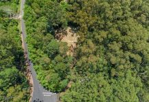 Tranquil rainforest living