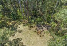 Tranquil Rainforest Living