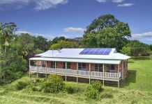 Hidden Gem in the Golden Triangle