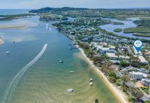In The Heart Of The Noosa River Action