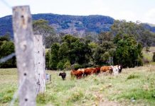Pop’s Place – A Rural Lifestyle Property Beyond Compare
