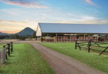 World Class 40.5ha Equine Property, Stunning Mountain Views