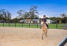 Enviable Hinterland Playground, Gregarious Personality, 12-Mins to Noosa