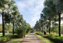 Paradise Found- “Amanpuri Estate” in the Noosa Hinterland
