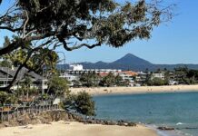 Interest rates cut a boost for home buyers