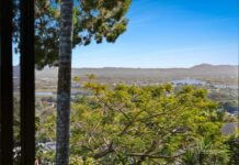 Quite a buzz about blue-chip sites