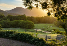 Exclusive Hinterland Estate: Experience Ultimate Privacy, Luxury Living, and Serene Country Charm