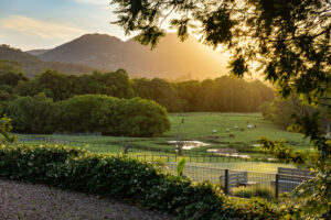 Sorry! Image not available at this time