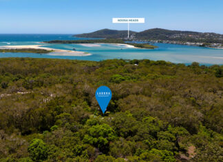 Let The Dreams Begin!